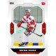 2023/24 Goal cards Chance Liga 2. série #383 Michal Rouha