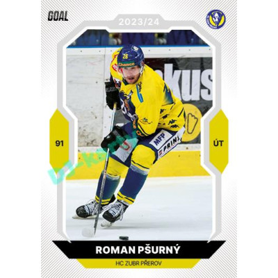 2023/24 Goal cards Chance Liga 2. série #312 Roman Pšurný