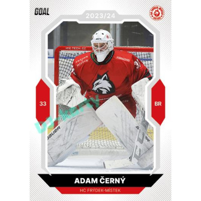 2023/24 Goal cards Chance Liga 2. série #313 Adam Černý