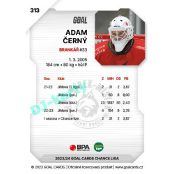 2023/24 Goal cards Chance Liga 2. série #313 Adam Černý