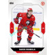 2023/24 Goal cards Chance Liga 2. série #316 David Homola