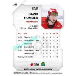 2023/24 Goal cards Chance Liga 2. série #316 David Homola