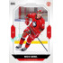 2023/24 Goal cards Chance Liga 2. série #321 Nico Geidl