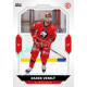 2023/24 Goal cards Chance Liga 2. série #322 Radek Veselý