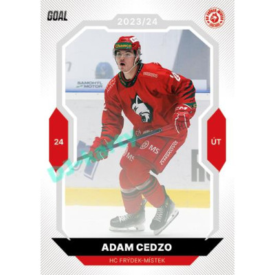 2023/24 Goal cards Chance Liga 2. série #323 Adam Cedzo