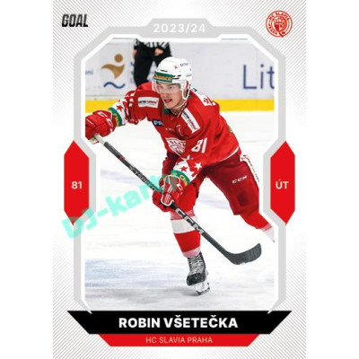 2023/24 Goal cards Chance Liga 2. série #338 Robin Všetečka