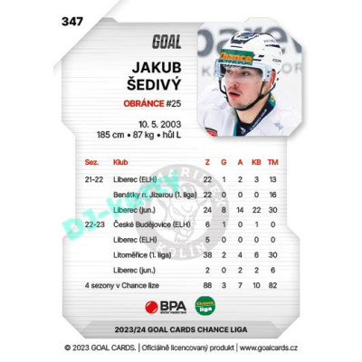 2023/24 Goal cards Chance Liga 2. série #347 Jakub Šedivý