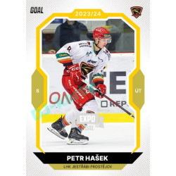 2023/24 Goal cards Chance Liga 1. série #051 Petr Hašek EXPO Silver 1of6