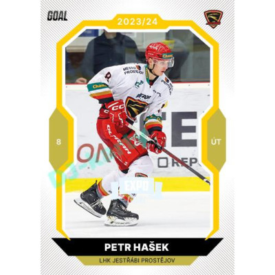 2023/24 Goal cards Chance Liga 1. série #051 Petr Hašek EXPO Perleť 1of6