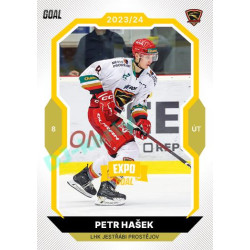 2023/24 Goal cards Chance Liga 1. série #051 Petr Hašek EXPO Bronze 1of6