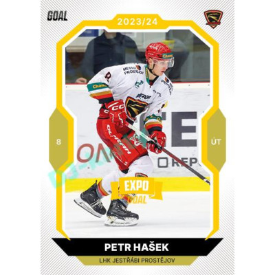 2023/24 Goal cards Chance Liga 1. série #051 Petr Hašek EXPO Bronze 1of6