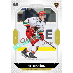 2023/24 Goal cards Chance Liga 1. série #051 Petr Hašek