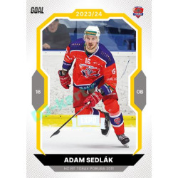 2023/24 Goal cards Chance Liga 1. série #059 Adam Sedlák EXPO Perleť 1of6