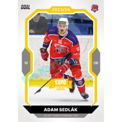 2023/24 Goal cards Chance Liga 1. série #059 Adam Sedlák EXPO Bronze 1of6