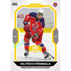 2023/24 Goal cards Chance Liga 1. série #069 Vojtěch Střondala EXPO Bronze 1of6