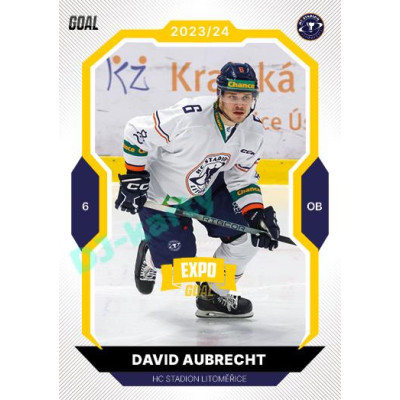 2023/24 Goal cards Chance Liga 1. série #073 David Aubrecht EXPO Bronze 1of6