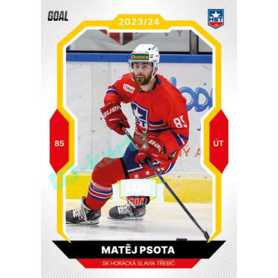 2023/24 Goal cards Chance Liga 1. série #038 Matěj Psota EXPO Perleť 1of6