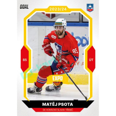 2023/24 Goal cards Chance Liga 1. série #038 Matěj Psota EXPO Bronze 1of6