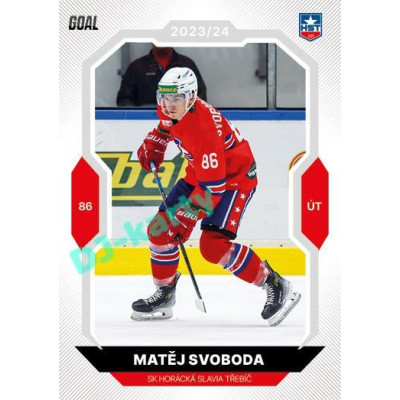 2023/24 Goal cards Chance Liga 1. série #039 Matěj Svoboda