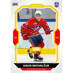 2023/24 Goal cards Chance Liga 1. série #042 David Michalčuk EXPO Bronze 1of6