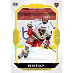 2023/24 Goal cards Chance Liga 1. série #045 Petr Šidlík EXPO Perleť 1of6