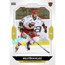 2023/24 Goal cards Chance Liga 1. série #048 Vojtěch Kloz