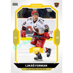 2023/24 Goal cards Chance Liga 1. série #049 Lukáš Forman EXPO Bronze 1of6