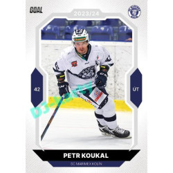 2023/24 Goal cards Chance Liga 1. série #151 Petr Koukal