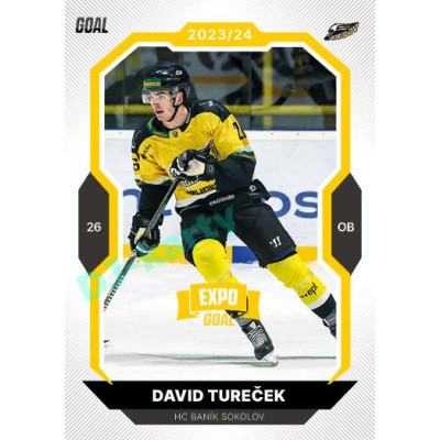 2023/24 Goal cards Chance Liga 1. série #159 David Tureček EXPO Bronze 1of6