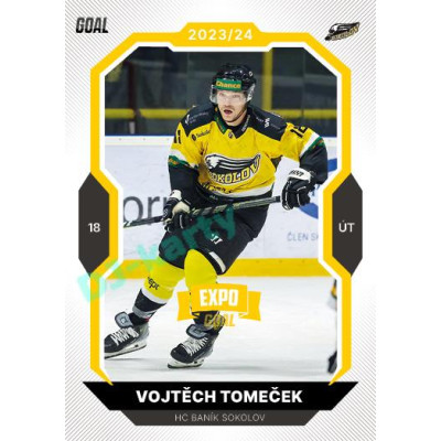2023/24 Goal cards Chance Liga 1. série #163 Vojtěch Tomeček EXPO Bronze 1of6