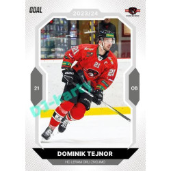 2023/24 Goal cards Chance Liga 1. série #186 Dominik Tejnor