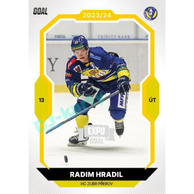 2023/24 Goal cards Chance Liga 1. série #109 Radim Hradil EXPO Silver 1of6