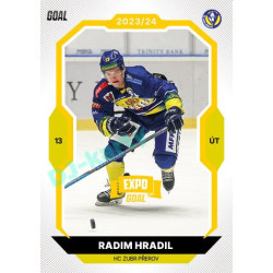 2023/24 Goal cards Chance Liga 1. série #109 Radim Hradil EXPO Bronze 1of6