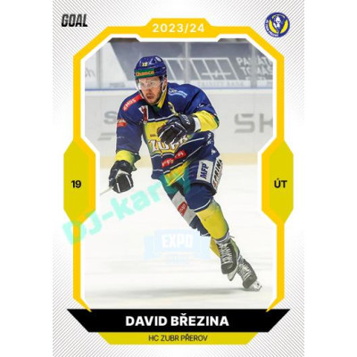 2023/24 Goal cards Chance Liga 1. série #111 David Březina EXPO Perleť 1of6