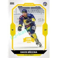 2023/24 Goal cards Chance Liga 1. série #111 David Březina EXPO Bronze 1of6