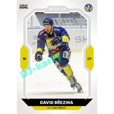 2023/24 Goal cards Chance Liga 1. série #111 David Březina