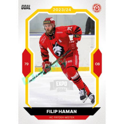 2023/24 Goal cards Chance Liga 1. série #115 Filip Haman EXPO Silver 1of6
