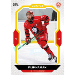 2023/24 Goal cards Chance Liga 1. série #115 Filip Haman EXPO Perleť 1of6