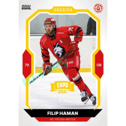 2023/24 Goal cards Chance Liga 1. série #115 Filip Haman EXPO Bronze 1of6