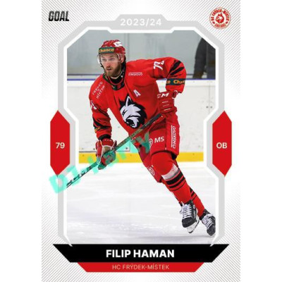 2023/24 Goal cards Chance Liga 1. série #115 Filip Haman