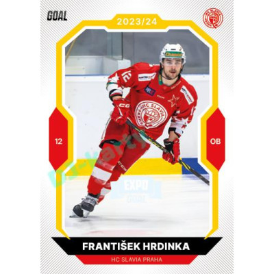 2023/24 Goal cards Chance Liga 1. série #131 František Hrdinka EXPO Perleť 1of6
