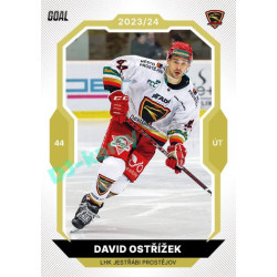 2023/24 Goal cards Chance Liga 2. série #254 David Ostřížek Gold 1of20
