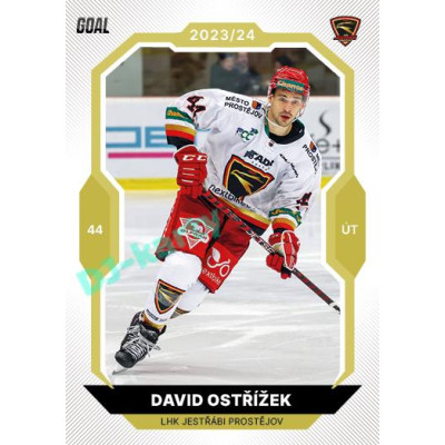 2023/24 Goal cards Chance Liga 2. série #254 David Ostřížek Gold 1of20