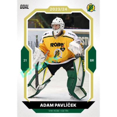 2023/24 Goal cards Chance Liga 2. série #216 Adam Pavlíček Gold 1of20