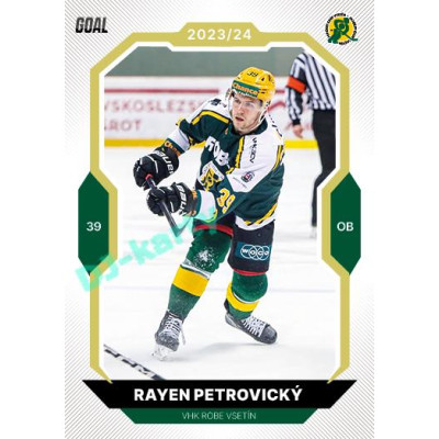 2023/24 Goal cards Chance Liga 2. série #218 Rayen Petrovický Gold 1of20