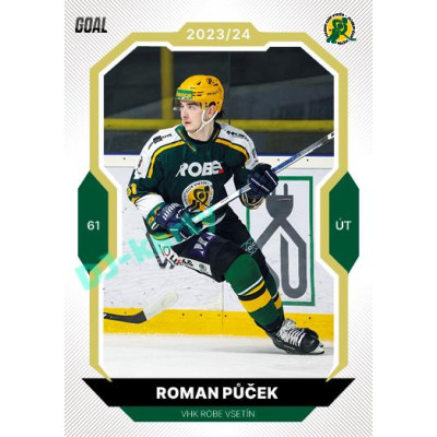 2023/24 Goal cards Chance Liga 2. série #225 Roman Půček Gold 1of20