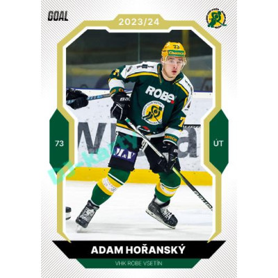 2023/24 Goal cards Chance Liga 2. série #226 Adam Hořanský Gold 1of20