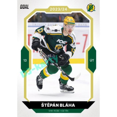 2023/24 Goal cards Chance Liga 2. série #228 Štěpán Bláha Gold 1of20