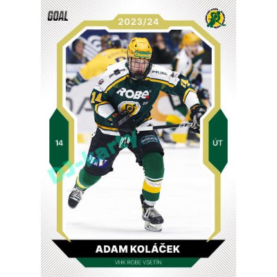 2023/24 Goal cards Chance Liga 2. série #229 Adam Koláček Gold 1of20