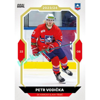 2023/24 Goal cards Chance Liga 2. série #235 Petr Vodička Gold 1of20